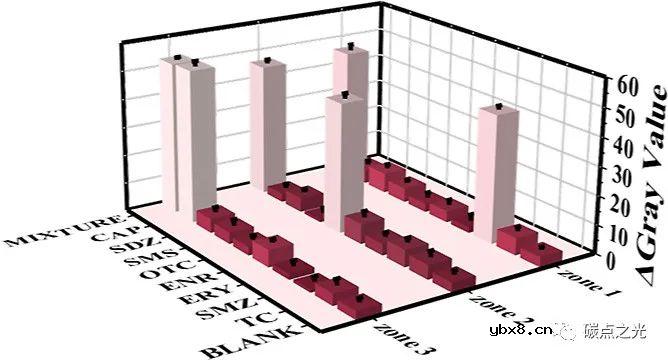 基于多色荧光碳点传感器的纸基微流控芯片