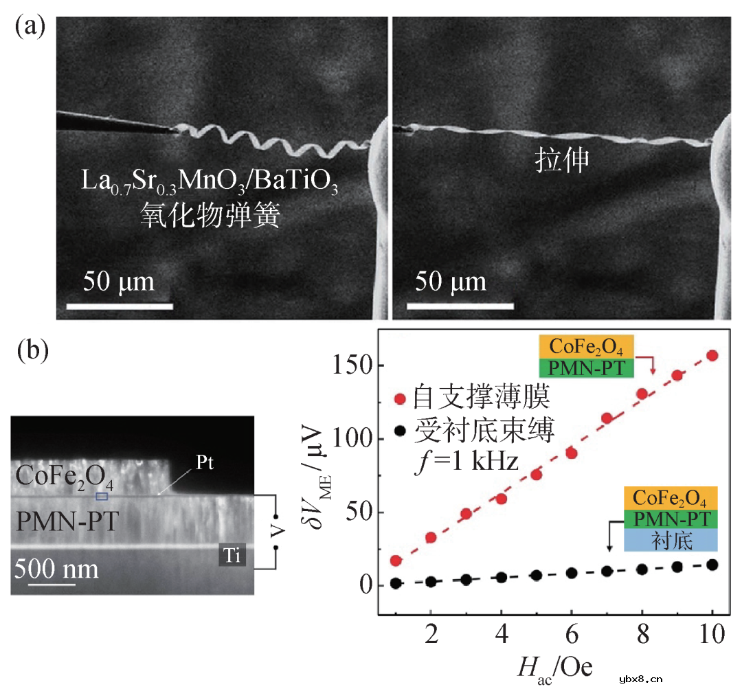 自支撑多铁性薄膜材料研究的机遇与挑战简析