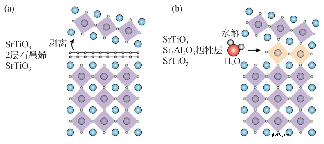 自支撑多铁性薄膜材料研究的机遇与挑战简析