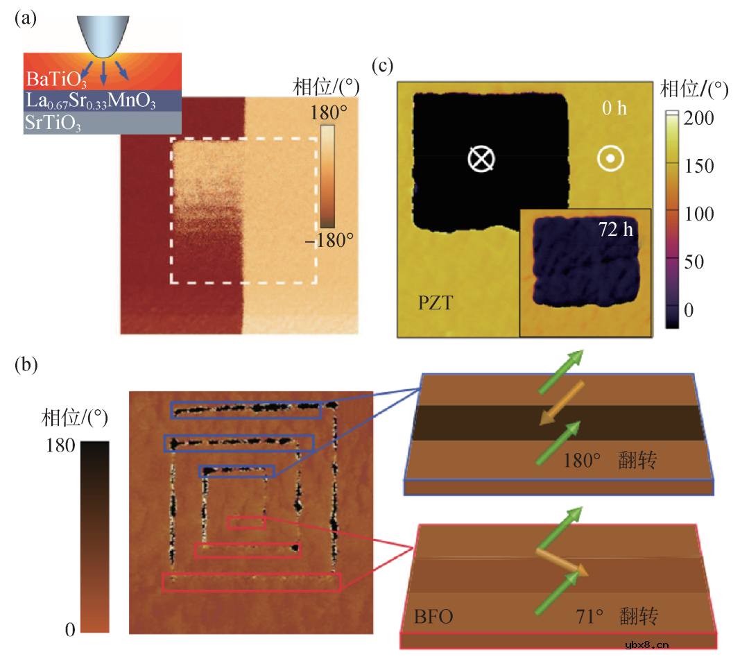 电场和光场对铁电薄膜极化和导电特性的调控作用及物理机制