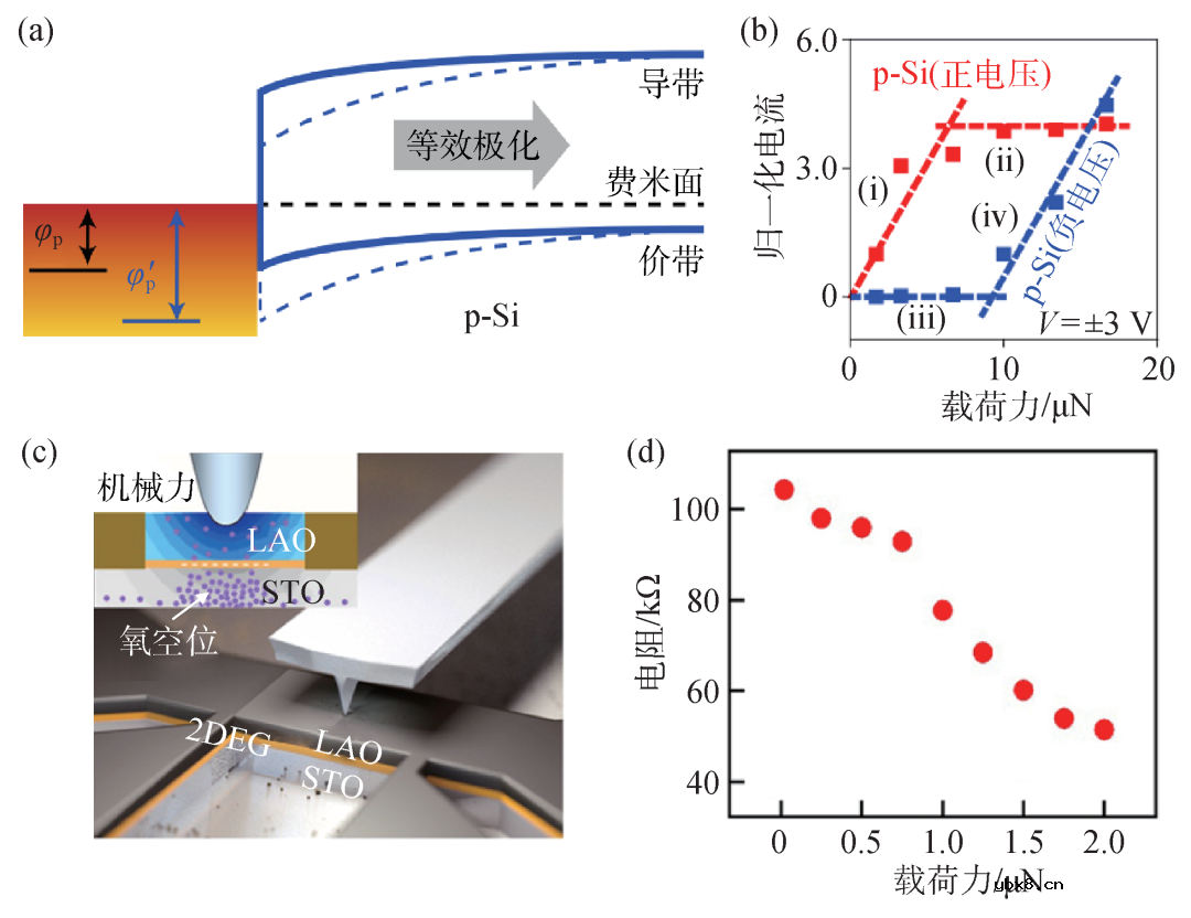 电场和光场对铁电薄膜极化和导电特性的调控作用及物理机制