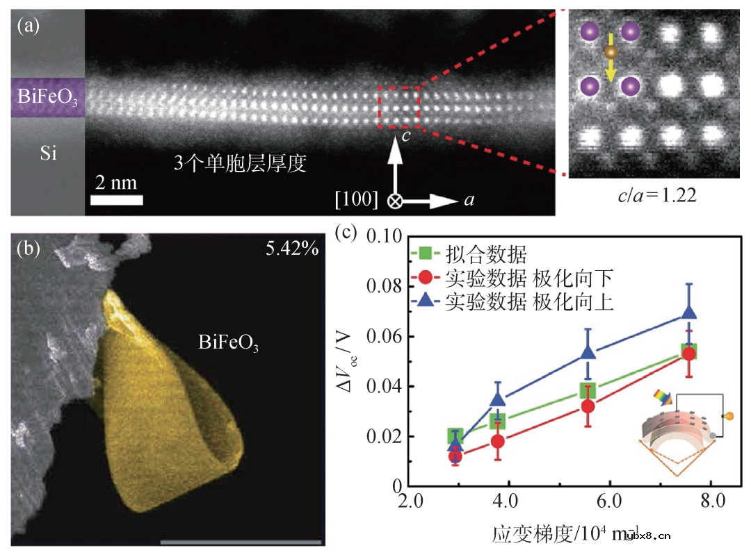自支撑多铁性薄膜材料研究的机遇与挑战简析