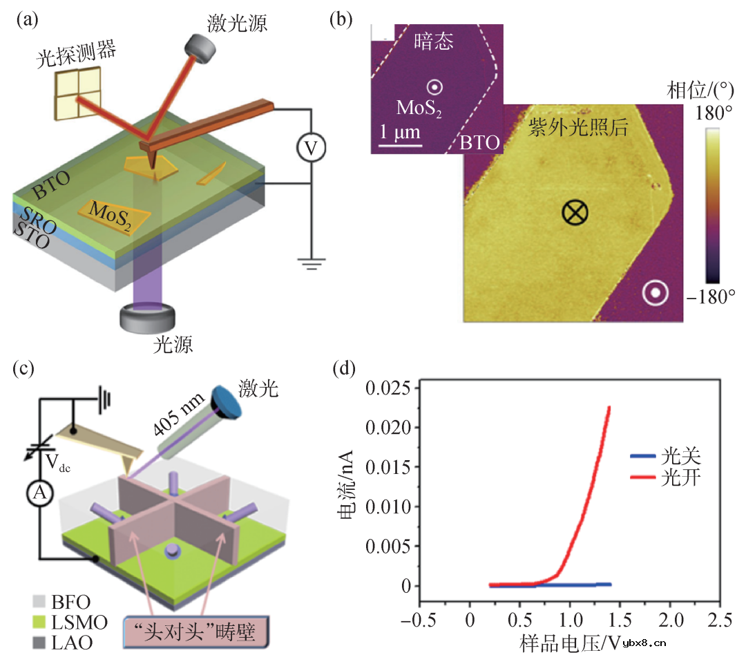 电场和光场对铁电薄膜极化和导电特性的调控作用及物理机制