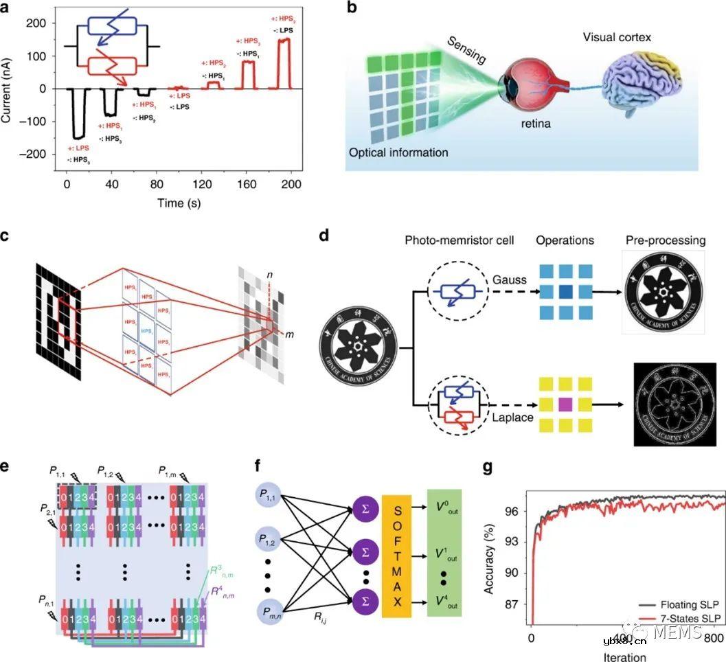 用于神经形态视觉处理的G/M/G光忆阻器