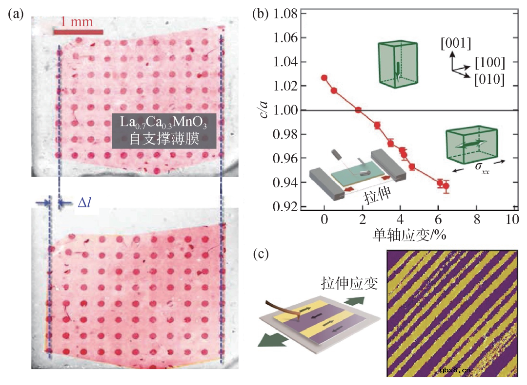自支撑多铁性薄膜材料研究的机遇与挑战简析