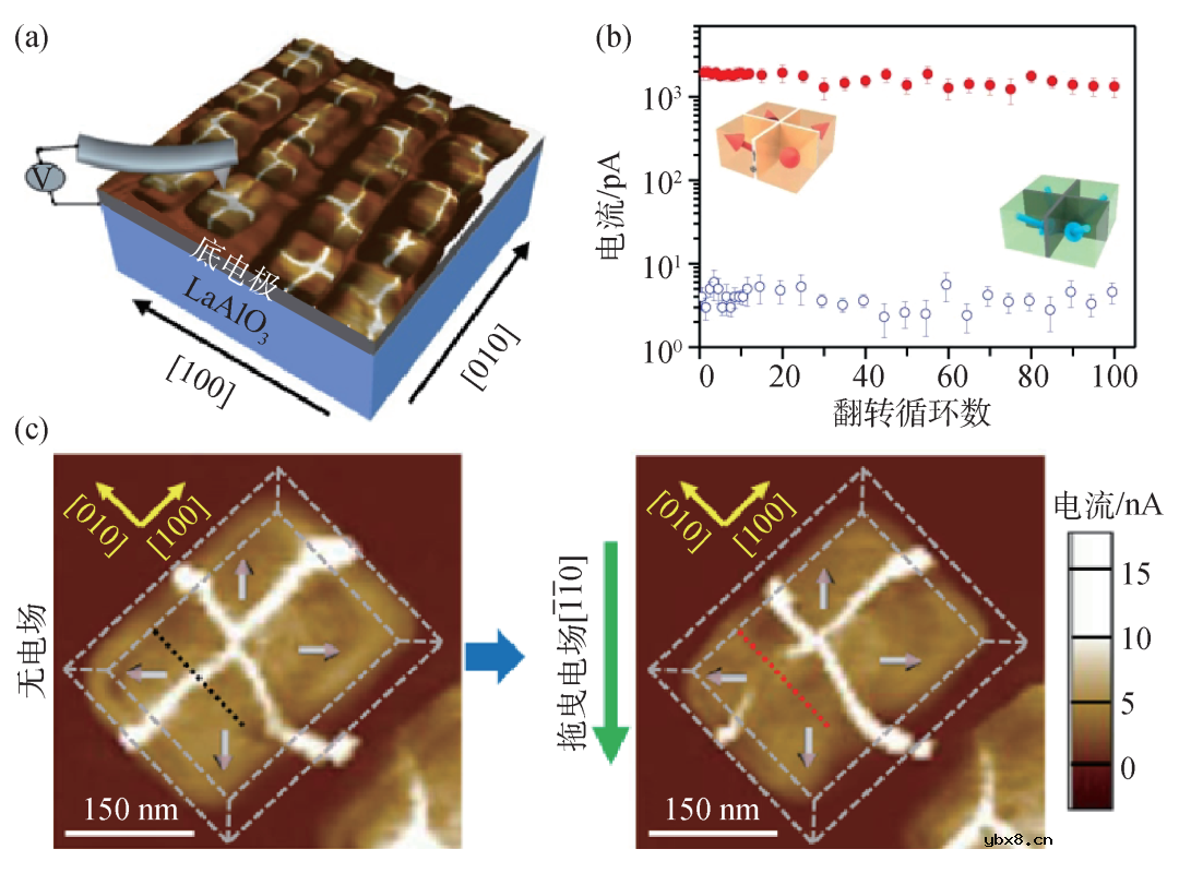 电场和光场对铁电薄膜极化和导电特性的调控作用及物理机制