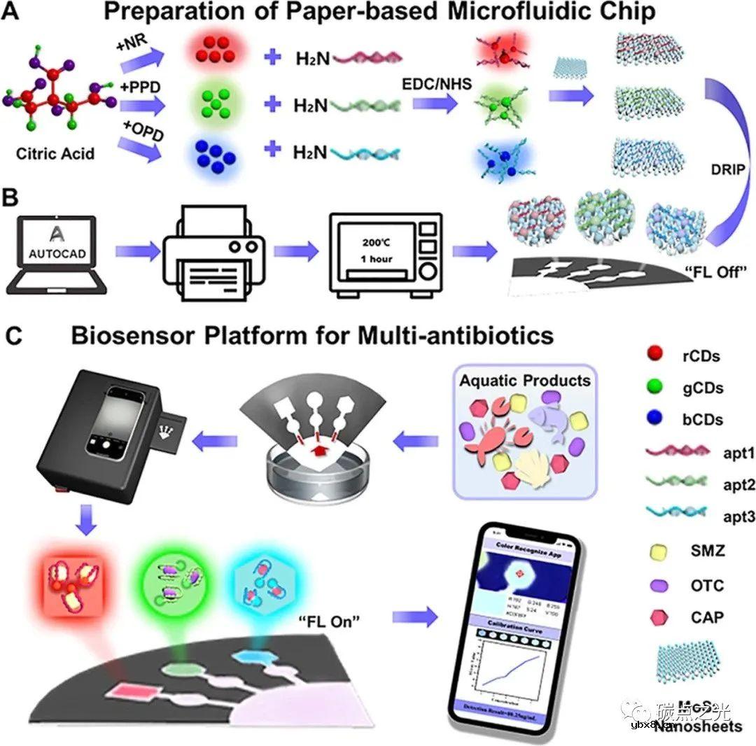 基于多色荧光碳点传感器的纸基微流控芯片