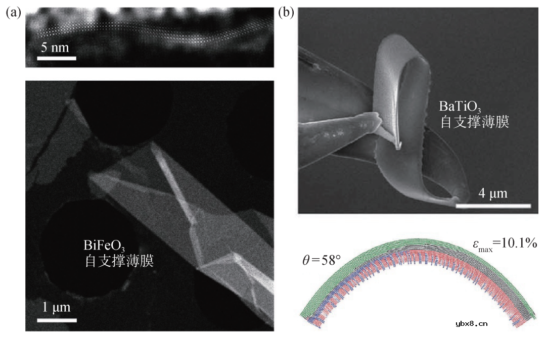 自支撑多铁性薄膜材料研究的机遇与挑战简析