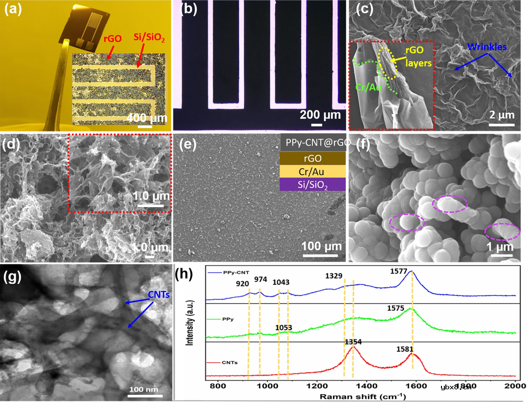 面向人体运动感知的微应变传感-微电容集成MEMS