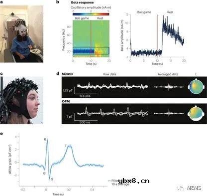 生物医学应用的量子传感器概述