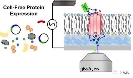 具有透明组件的生物传感器给予光学技术用武之地