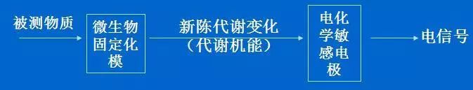 生物医学领域的传感器的正确测量