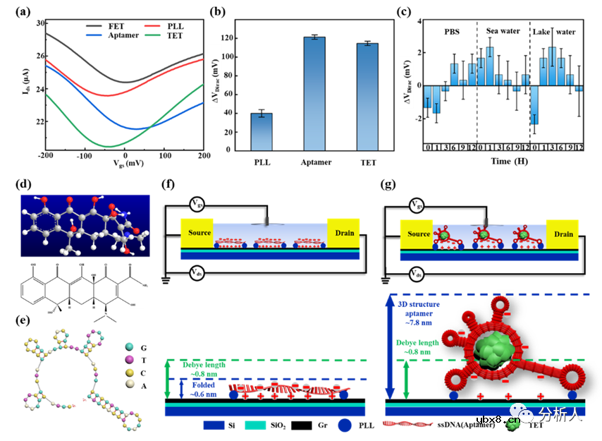 开发一种基于GFET的生物传感器