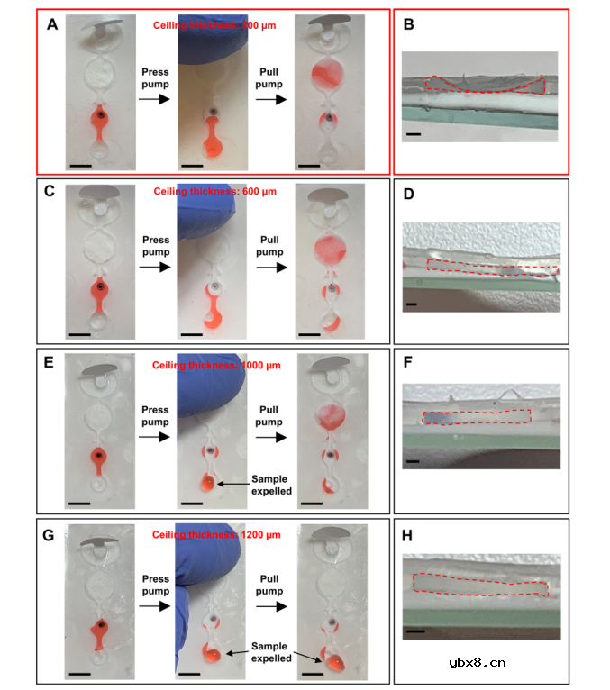 一种用于汗液多靶标按需检测的可穿戴微流控平台
