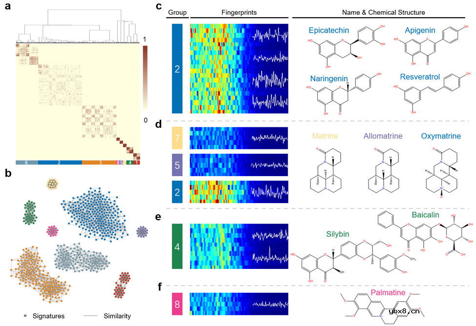 一种新型的分层结构生物混合摩擦纳米发电机HB-TENG系统