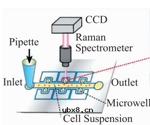 基于微流控芯片的生物传感器发展 基于微流控芯片的生物传感器发展
