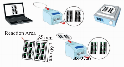 基于微流控芯片的生物传感器发展 基于微流控芯片的生物传感器发展