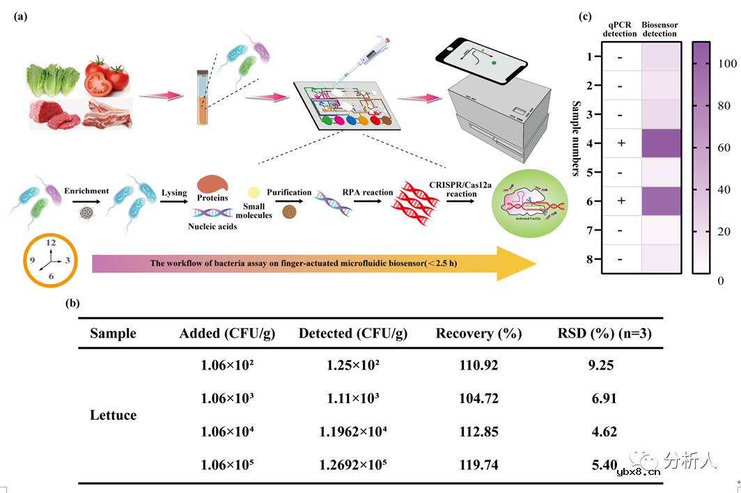 一种基于手指驱动集成式微流控生物传感器用于大肠杆菌检测