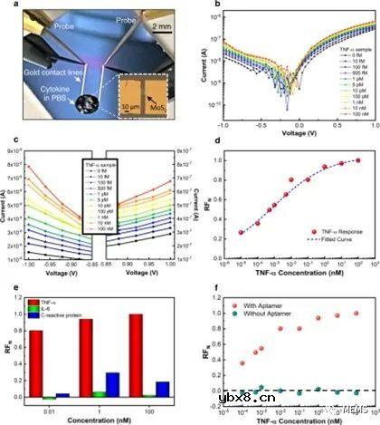 一款基于非对称几何MoS2二极管的生物传感器