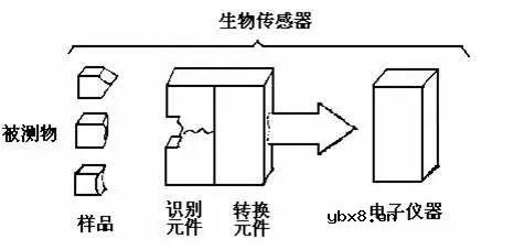 生物医学领域的传感器的正确测量