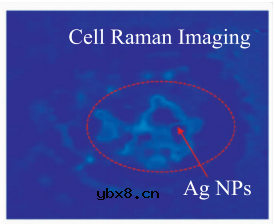 基于微流控芯片的生物传感器发展 基于微流控芯片的生物传感器发展