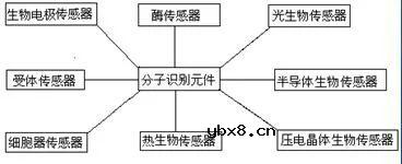 生物医学领域的传感器的正确测量