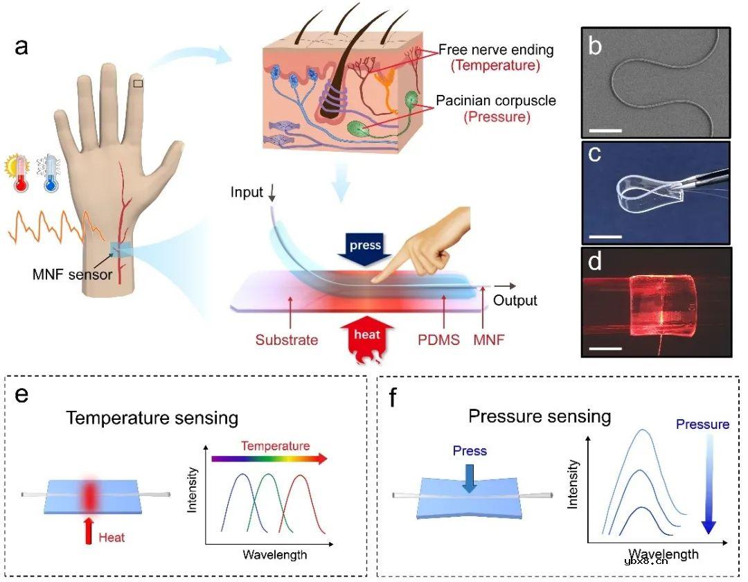 基于微纳光纤的温度/压力同时测量触觉传感器