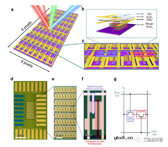 高灵敏度二维材料图像传感器的内在机理阐述