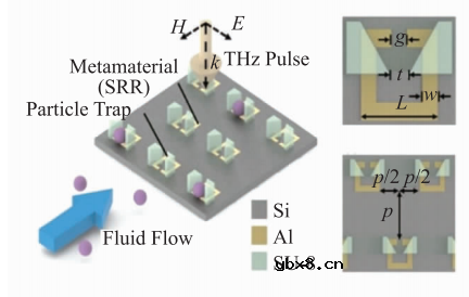 基于微流控芯片的生物传感器发展 基于微流控芯片的生物传感器发展