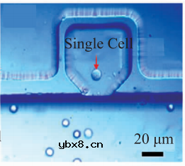 基于微流控芯片的生物传感器发展 基于微流控芯片的生物传感器发展