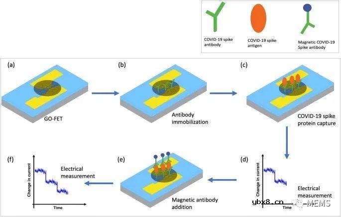 一种用于实时检测溶液中COVID-19刺突抗原的电子生物传感器