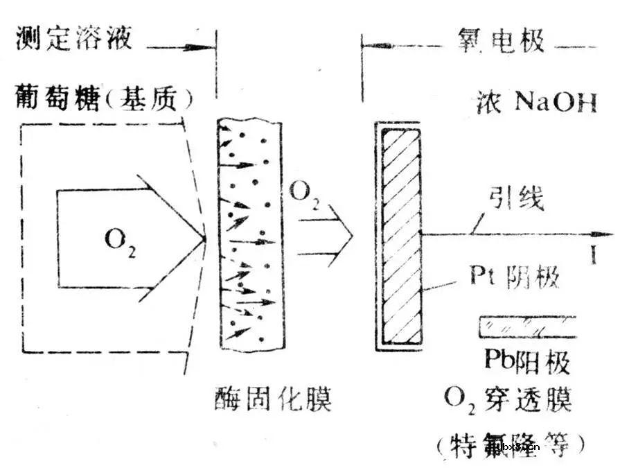 生物医学领域的传感器的正确测量