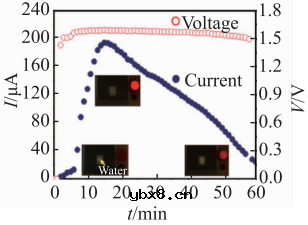 基于微流控芯片的生物传感器发展 基于微流控芯片的生物传感器发展