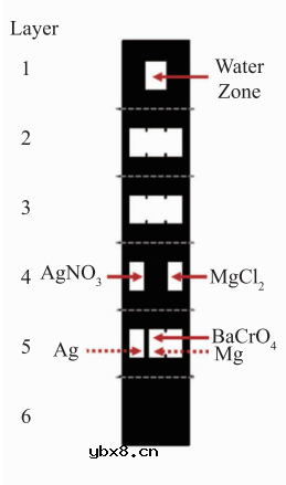 基于微流控芯片的生物传感器发展 基于微流控芯片的生物传感器发展