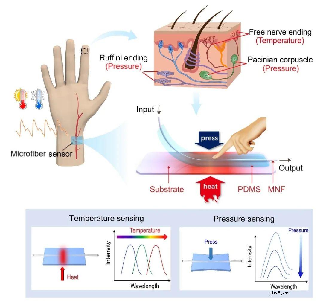 基于微纳光纤的温度/压力同时测量触觉传感器