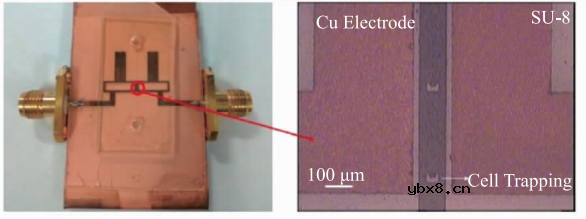 基于微流控芯片的生物传感器发展 基于微流控芯片的生物传感器发展