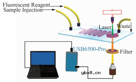 基于微流控芯片的生物传感器发展 基于微流控芯片的生物传感器发展