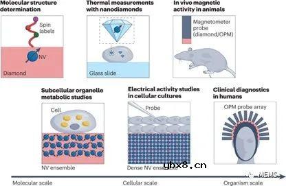 生物医学应用的量子传感器概述