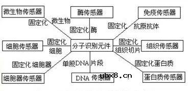 生物医学领域的传感器的正确测量