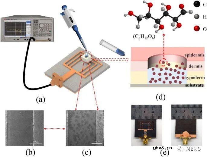 一种基于仿生材料的微流控微波生物传感器