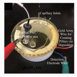 基于微流控芯片的生物传感器发展 基于微流控芯片的生物传感器发展