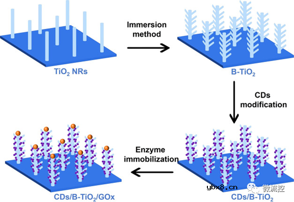 基于碳点修饰的光电化学生物传感器实现可见光下检测葡萄糖浓度