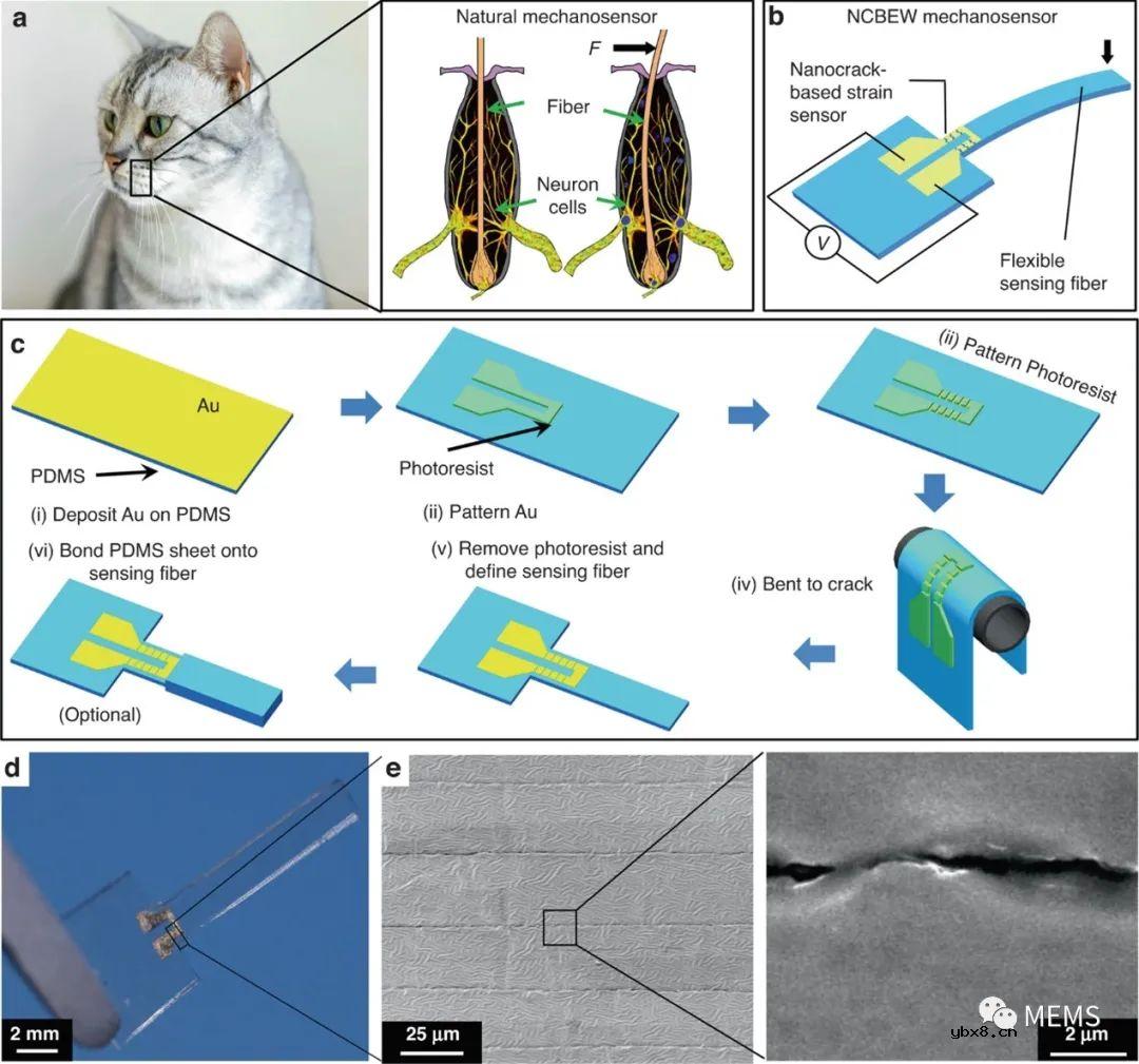 一种基于纳米裂纹的“电子须”机械传感器开发
