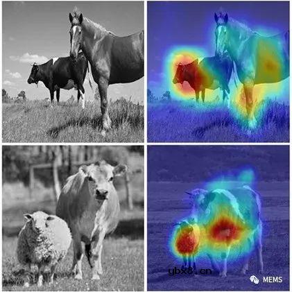 无图像单像素目标检测方法可用于自动驾驶汽车