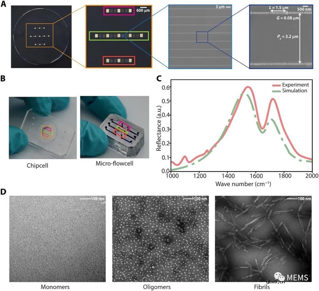 一种免疫分析耦合的纳米等离子体红外超构表面传感器