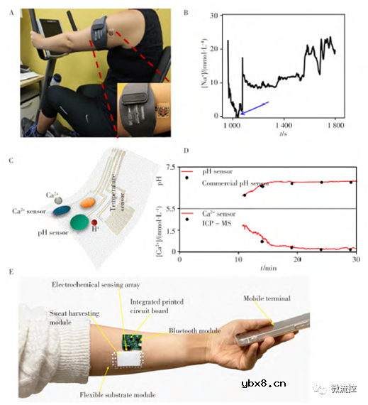 可穿戴电化学传感器件的研制及其应用