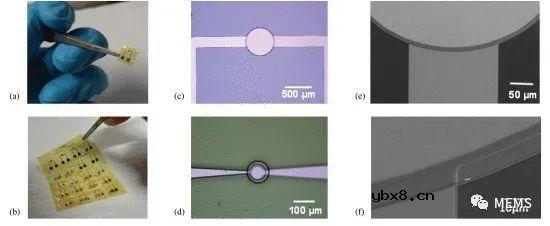 一种基于AlN薄膜的的柔性可穿戴压电触觉传感器开发