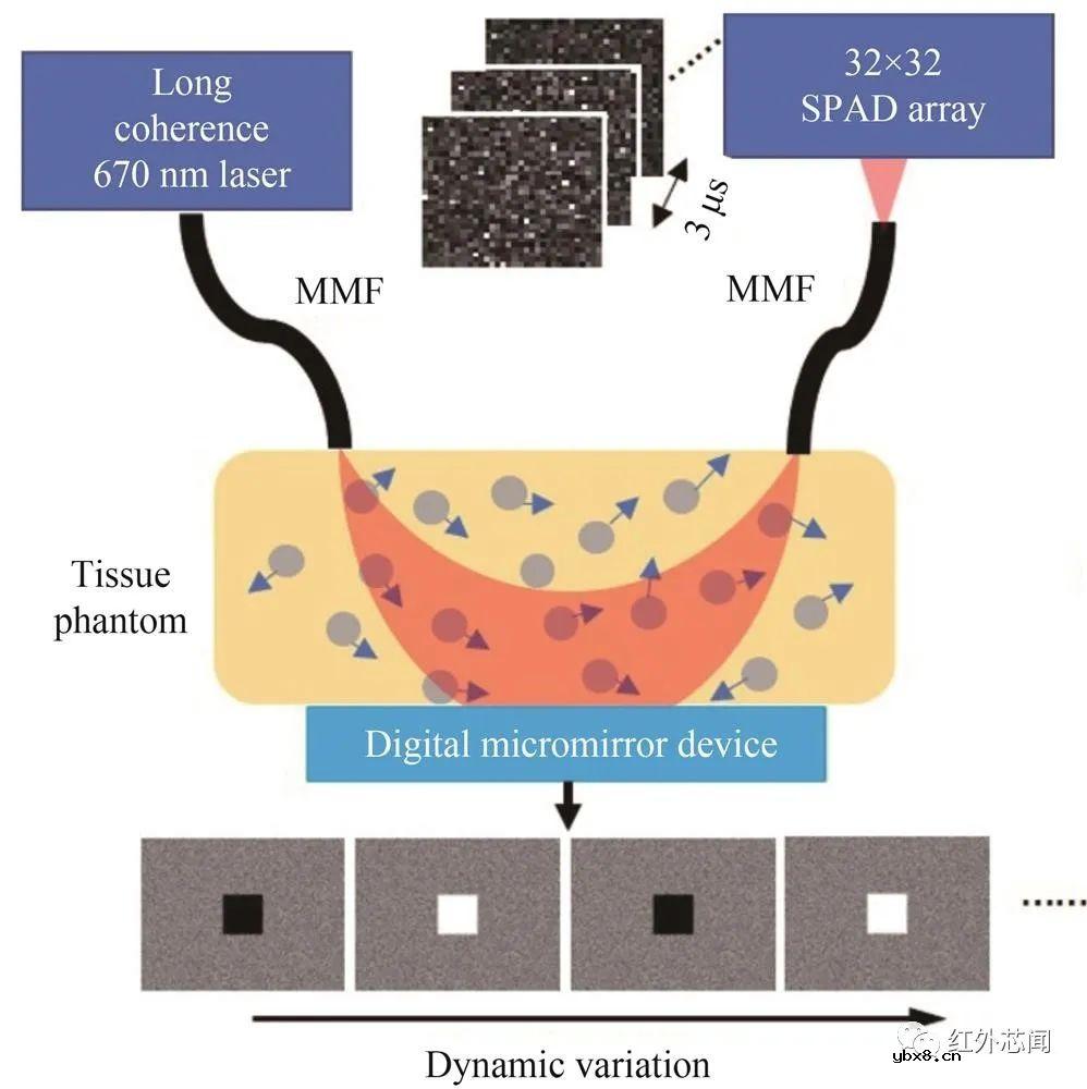 基于单光子雪崩二极管阵列的成像技术研究进展