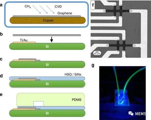 与微流控平台高度集成的石墨烯霍尔传感器用于全血的磁传感