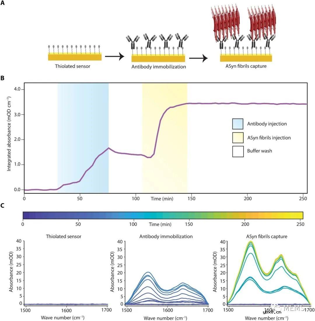 一种免疫分析耦合的纳米等离子体红外超构表面传感器